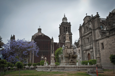 Jard�n de la Catedral Metropolitana