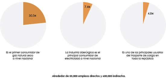 industria del acero, importancia econ�mica