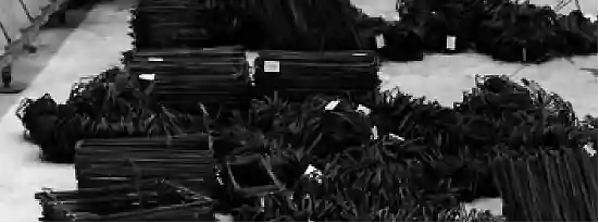 Sanblasteo y pintura